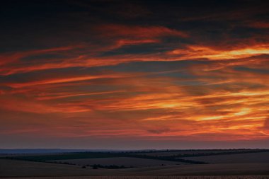 Güzel bir günbatımında buğday tarlası, güneş ışığı ve bulutlar