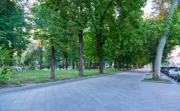 乌克兰敖德萨 2020年8月4日 大教堂广场的城市公园 绿树与人 — 图库照片