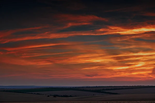 Wheat Field Beautiful Sunset Sunlight Clouds — Stock Photo, Image