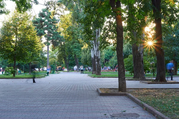 乌克兰敖德萨 2020年8月4日 大教堂广场的城市公园 绿树与人 — 图库照片