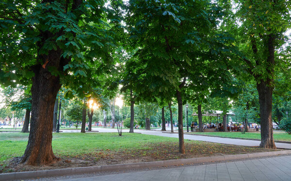 Odessa, Ukraine - August 4, 2020: city Park at the Cathedral square, green trees and people, summer evening