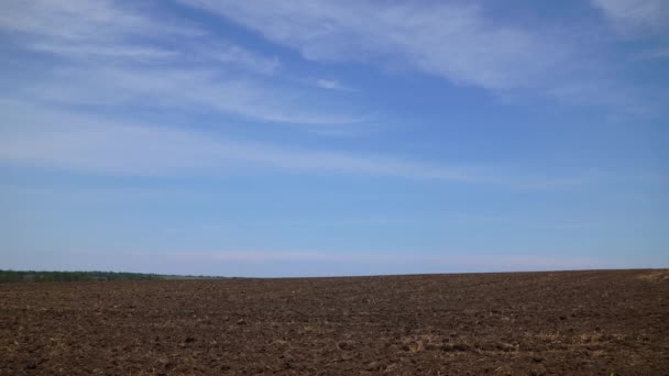 Timelapse Plowed Field Blue Sky Soil Clouds Bright Sunny Day — Stock Video