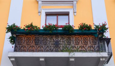 Sarı duvar ve balkon şehirde çiçeklerle süslenmiş.