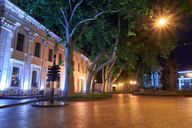 Ukrayna 'nın Odessa şehrindeki Primorsky Bulvarı' nın gece manzarası. Güzel şehir parkı ve sokak aydınlatması