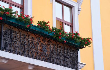 Sarı duvar ve balkon şehirde çiçeklerle süslenmiş.