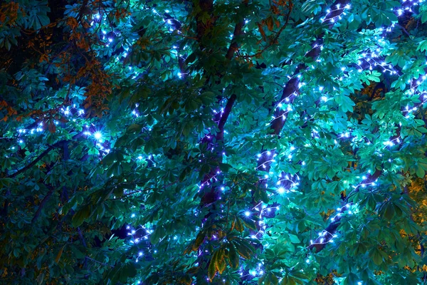 Nahaufnahme Der Baumbeleuchtung Girlande Der Nacht Stadtstraße — Stockfoto