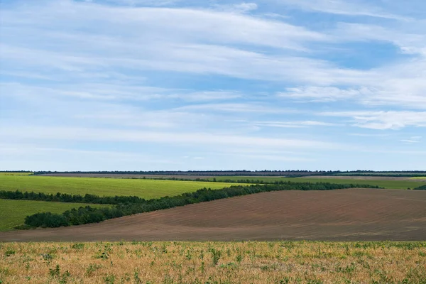 Jasny Piękny Letni Krajobraz Pola Niebo — Zdjęcie stockowe
