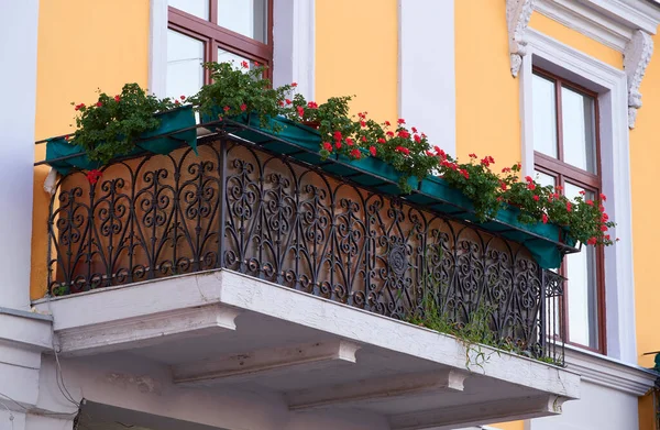 Pared Amarilla Balcón Decorado Con Flores Ciudad — Foto de Stock