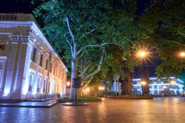 Ukrayna 'nın Odessa şehrindeki Primorsky Bulvarı' nın gece manzarası. Güzel şehir parkı ve sokak aydınlatması