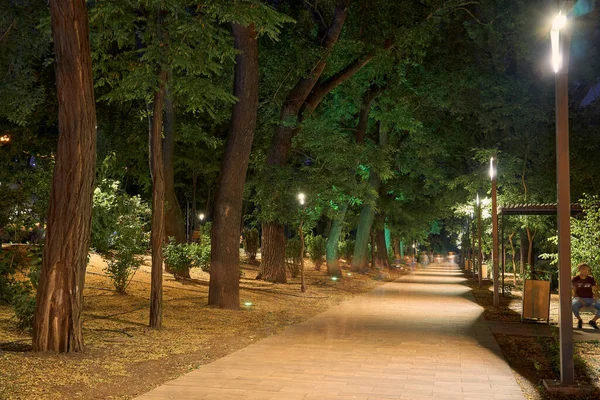 Vista Noturna Parque Grego Cidade Odessa Ucrânia Perto Das Escadas — Fotografia de Stock