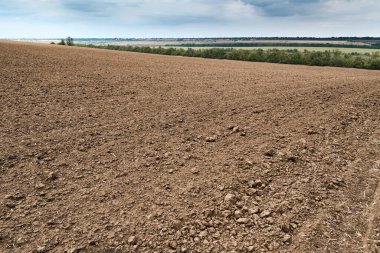plowed field and blue sky, soil and clouds of a bright sunny day - concept of agriculture clipart