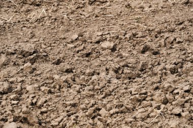 Pürüzsüz tarlalar ve mavi gökyüzü, parlak güneşli bir günün toprak ve bulutları - tarım kavramı