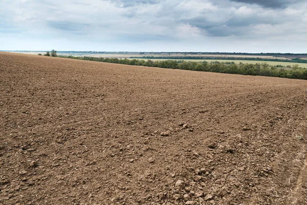 Champ Labouré Ciel Bleu Sol Nuages Une Journée Ensoleillée Concept — Photo