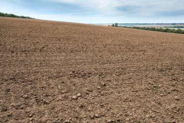 Pürüzsüz tarlalar ve mavi gökyüzü, parlak güneşli bir günün toprak ve bulutları - tarım kavramı