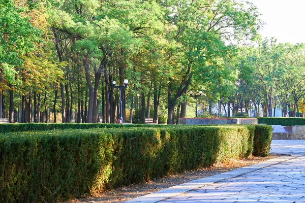 自然公園内のトレイル早朝明るい日差しと長い木々の影 — ストック写真