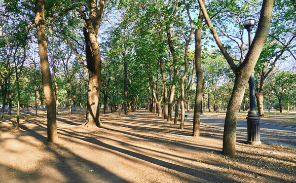 Natur Wanderweg Stadtpark Frühen Morgen Helles Sonnenlicht Und Lange Schatten — Stockfoto
