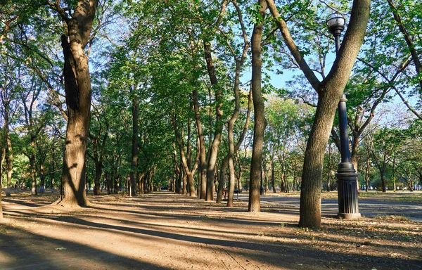 Natura Szlak Parku Miejskim Wcześnie Rano Jasne Światło Słoneczne Długie — Zdjęcie stockowe