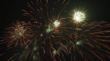 Gece gökyüzünün arka planında neşeli ve parlak havai fişekler