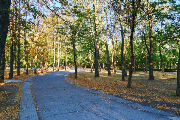 Natureza Trilha Cidade Parque Início Manhã Luz Solar Brilhante Longas — Fotografia de Stock