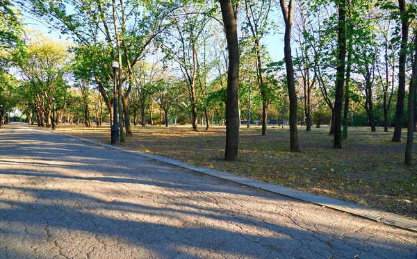 自然公園内のトレイル早朝明るい日差しと長い木々の影 — ストック写真