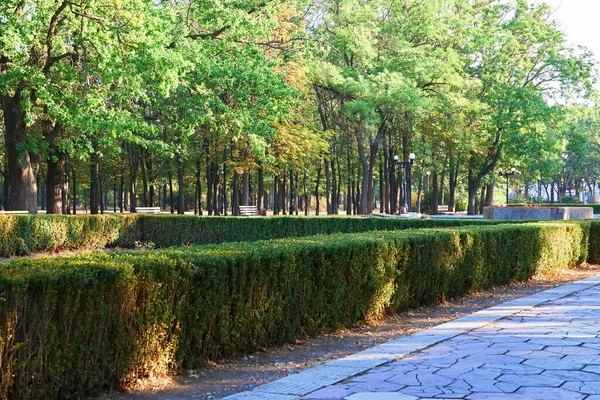 自然公園内のトレイル早朝明るい日差しと長い木々の影 — ストック写真