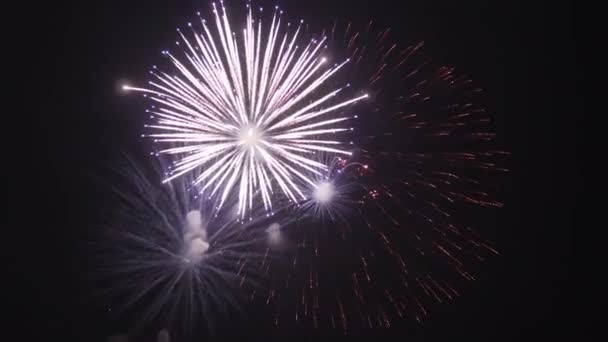 Feestelijk Helder Vuurwerk Achtergrond Van Nachtelijke Hemel — Stockvideo