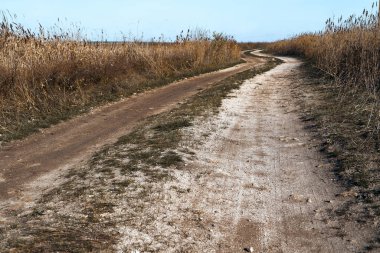 Sonbaharda tarlada toprak yol, yüksek kuru çimenler, aydınlık gün