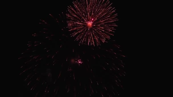 Ünnepi Fényes Tűzijáték Éjszakai Égbolt Hátterében — Stock videók