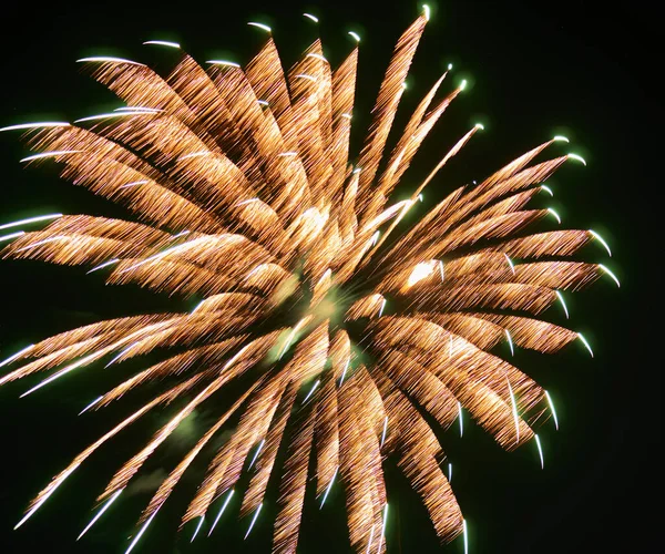 Festive Bright Fireworks Background Night Sky — Stock Photo, Image