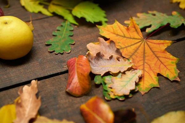 Jesień Martwa Natura Stylu Rustykalnym Jako Tło Owoce Liście Drewnianych — Zdjęcie stockowe