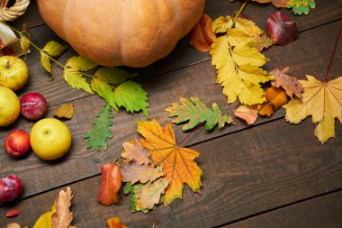 Arka plan olarak kırsal bir yaşam sürmeye devam ediyor. Yapraklar, sebzeler, meyveler, fındıklar ve diğer doğal besin maddeleri ahşap tahtalarda.