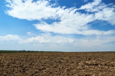 Pürüzsüz tarlalar ve mavi gökyüzü, parlak güneşli bir günün toprak ve bulutları - tarım kavramı