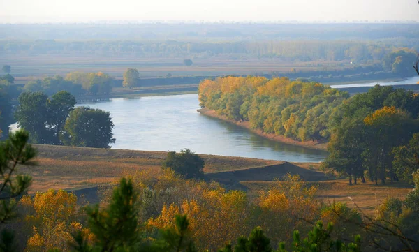 Jasne Kolorowe Jesienne Krajobrazy Leśne Drzewa Pobliżu Rzeki Błękitne Niebo — Zdjęcie stockowe