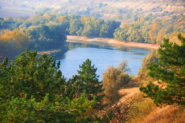 Ljusa Färgglada Höst Skog Landskap Träd Nära Floden Och Blå — Stockfoto