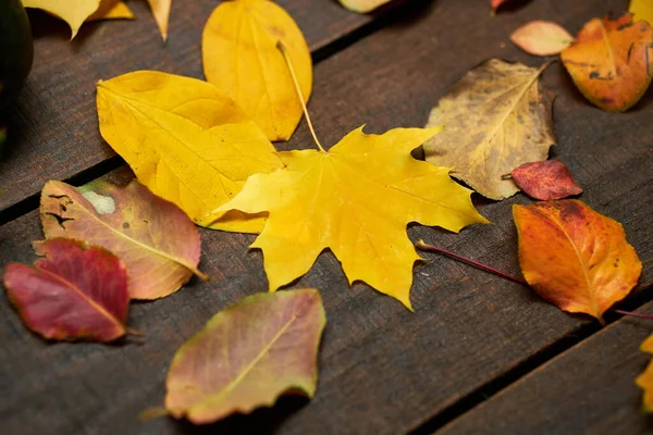 Podzim Zátiší Rustikálním Stylu Jako Pozadí Listí Dřevěných Prknech — Stock fotografie