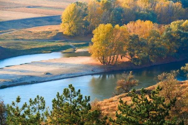 Luminoso Paesaggio Colorato Foresta Autunnale Alberi Vicino Fiume Cielo Blu — Foto Stock