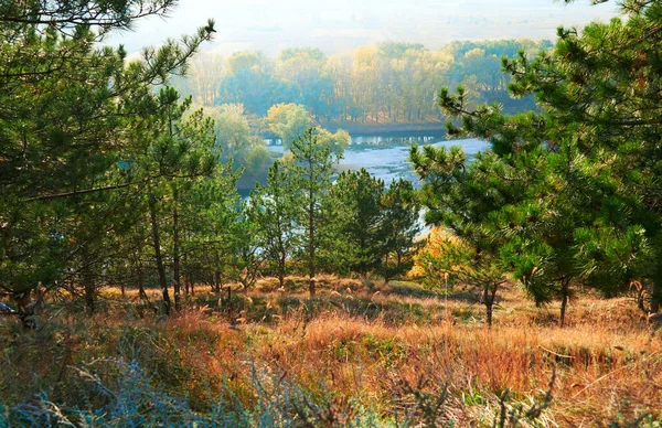 鮮やかな紅葉の森の風景川と青空の近くの木々高い丘からの眺め — ストック写真