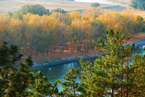 Jasne Kolorowe Jesienne Krajobrazy Leśne Drzewa Pobliżu Rzeki Błękitne Niebo — Zdjęcie stockowe