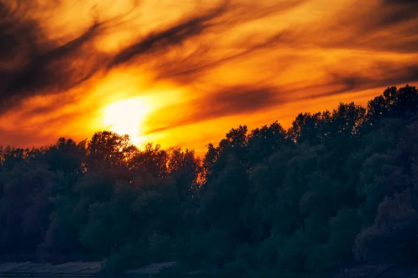 Dramaattinen Auringonlasku Kirkas Punainen Taivas Pilvet Siluetti Metsän Taustalla Kaunis — kuvapankkivalokuva