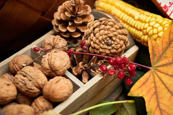 Nature Morte Automne Dans Style Rustique Comme Fond Feuilles Légumes — Photo