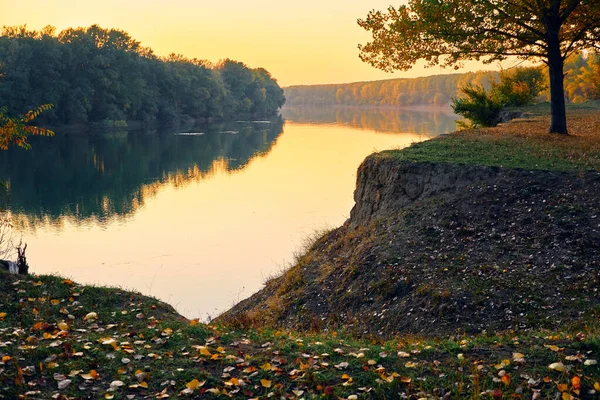 Színes Őszi Erdő Táj Naplementekor Fák Folyó Közelében Fényes Napfény — Stock Fotó