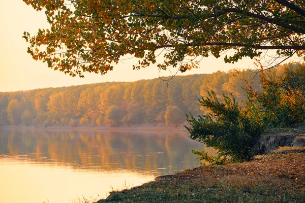 Paysage Forestier Automne Coloré Coucher Soleil Arbres Près Rivière Ciel — Photo