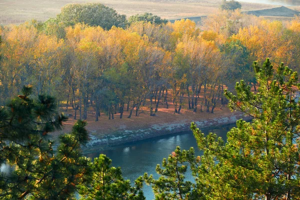 Luminoso Paesaggio Colorato Foresta Autunnale Alberi Vicino Fiume Cielo Blu — Foto Stock