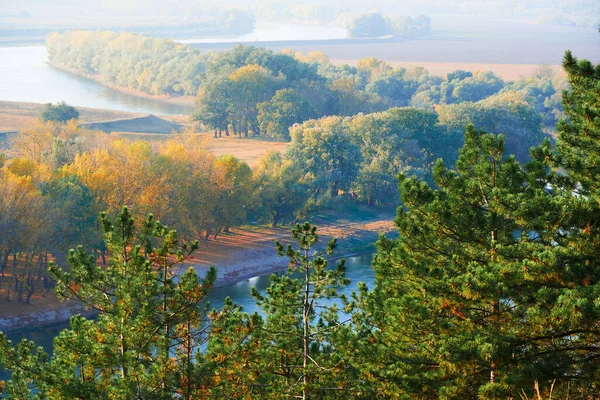 Яскравий Барвистий Осінній Лісовий Пейзаж Дерева Біля Річки Блакитного Неба — стокове фото