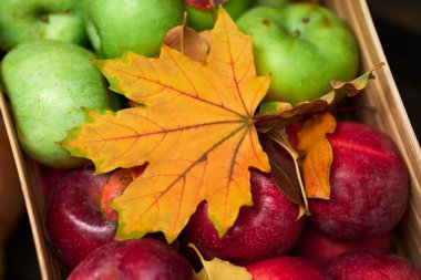 Arka plan olarak kırsal bir yaşam sürmeye devam ediyor. Yapraklar, sebzeler, meyveler, fındıklar ve diğer doğal besin maddeleri ahşap tahtalarda.