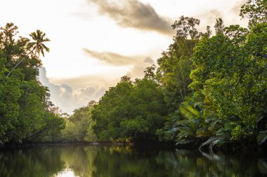 Sunsrise yağmur ormanları ve kanal Aru Island, Maluku adalar, Papua, Endonezya
