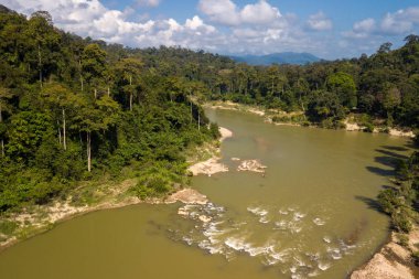Taman Negara tropikal yağmur ormanlarında, Malezya Tembeling Nehri'nin havadan görünümü