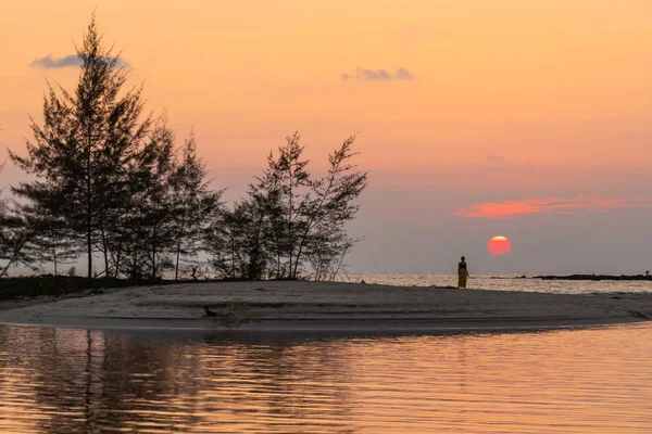 Tropisk Solnedgång Över Horisonten Och Filao Träden Koh Kood Island — Stockfoto