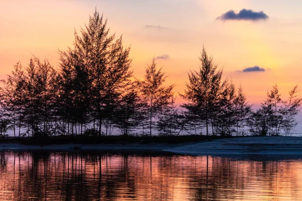 Sahilde Filao Ağaçların Arkasında Tropikal Günbatımı — Stok fotoğraf