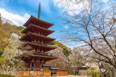 Hasedera ahşap pagoda adlı bahar Kansai ili, Japonya